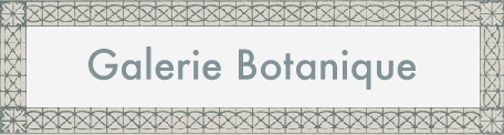 Galerie Botanique